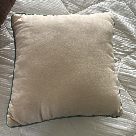 Accent pillows - Picture 2 of 7